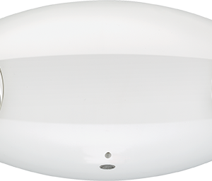 ELM6L