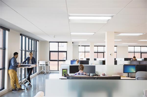 2blt4-rib_office-org_mid BLT Series