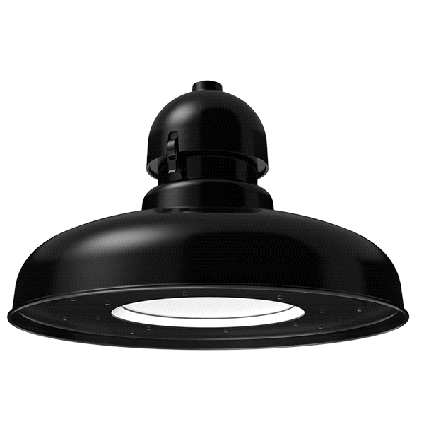 GNLF3 Pendant