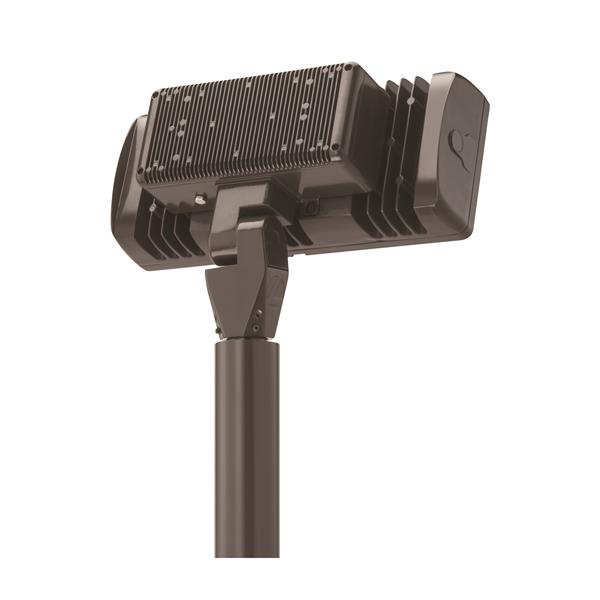 hlf1-led-is-ddbxd_back_mid HLF1
