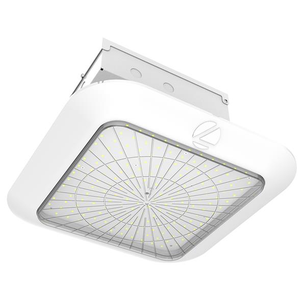 PCNY LED
